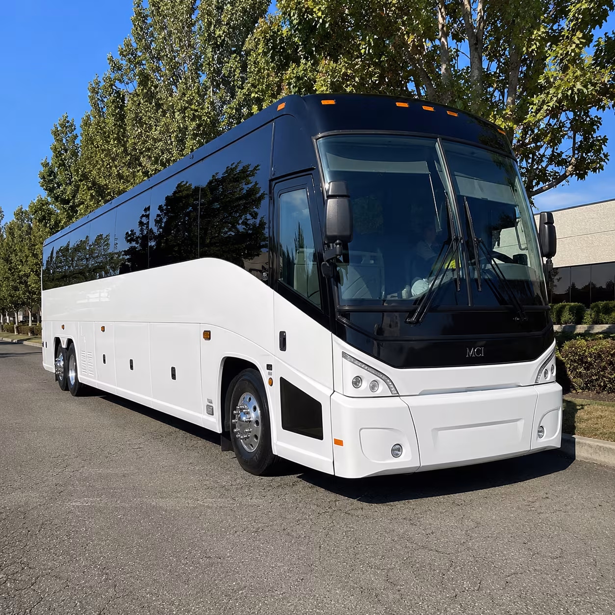 santa rosa 50 passenger charter bus